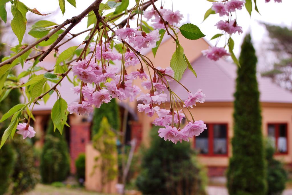 Aromatic Garden Villa La Poltrona Nasu Extérieur photo