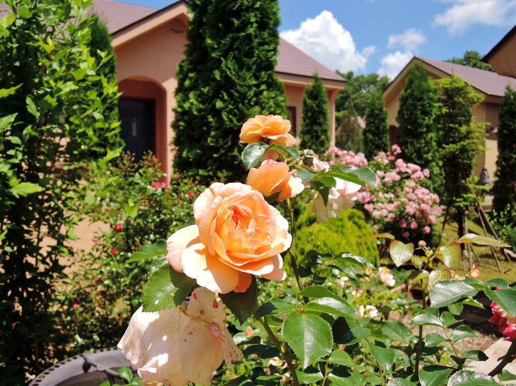 Aromatic Garden Villa La Poltrona Nasu Extérieur photo