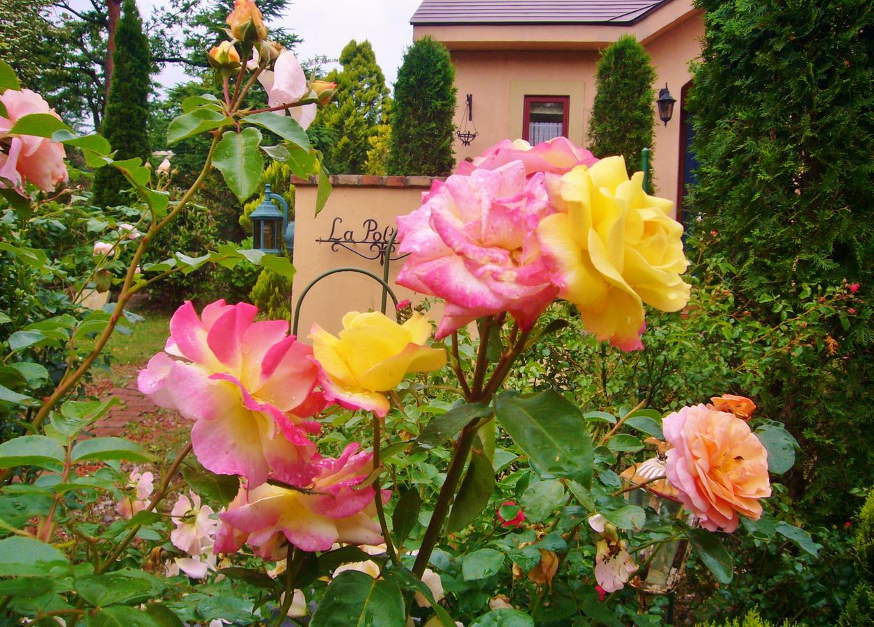 Aromatic Garden Villa La Poltrona Nasu Extérieur photo