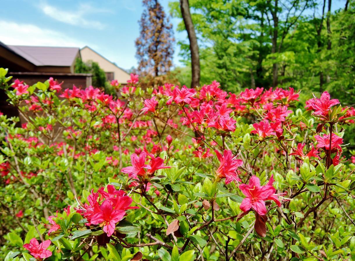 Aromatic Garden Villa La Poltrona Nasu Extérieur photo