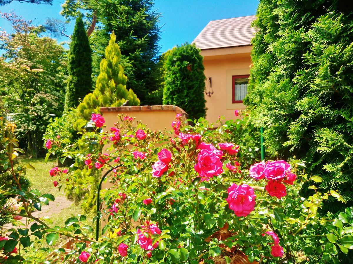 Aromatic Garden Villa La Poltrona Nasu Extérieur photo