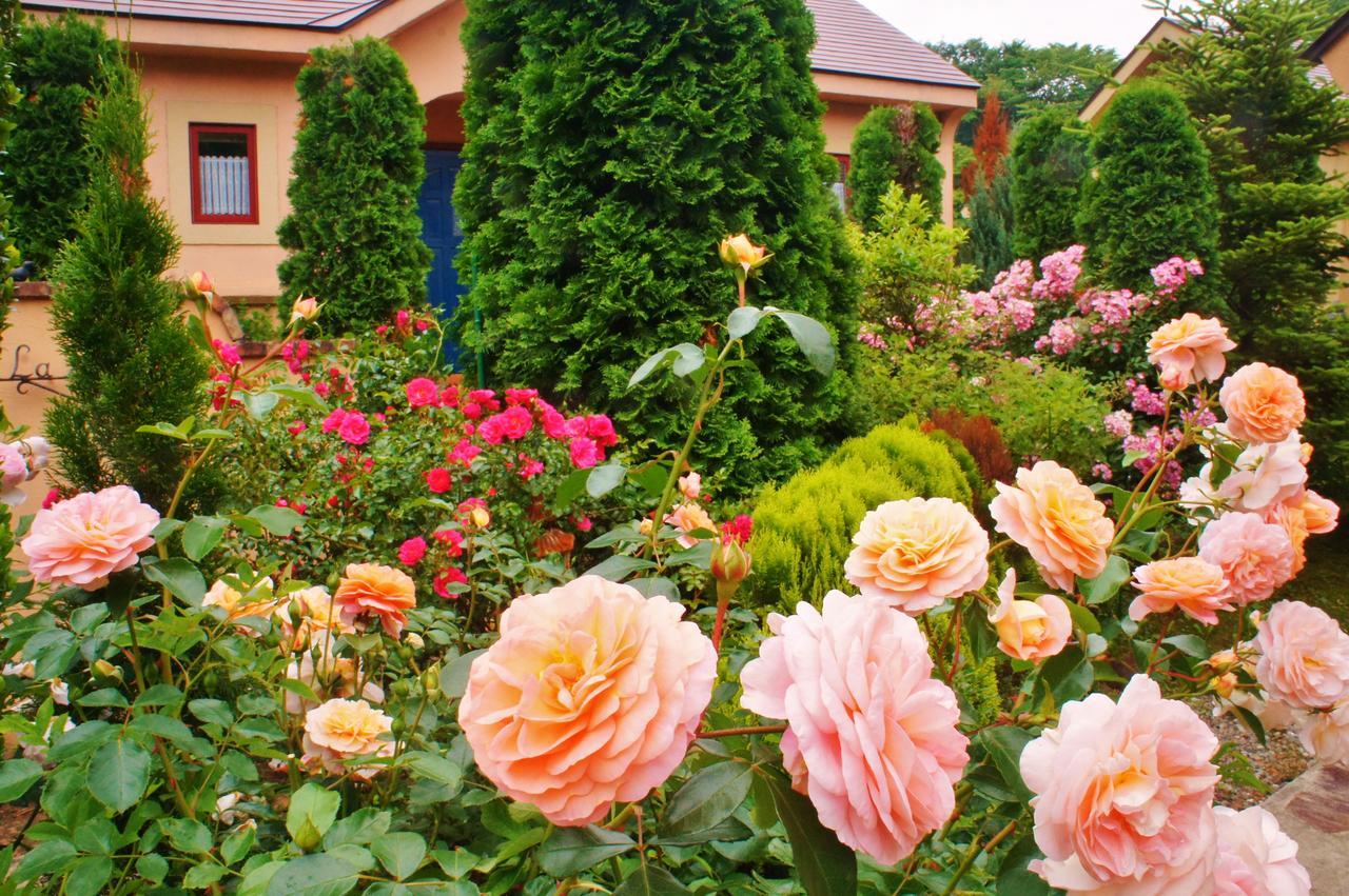 Aromatic Garden Villa La Poltrona Nasu Extérieur photo